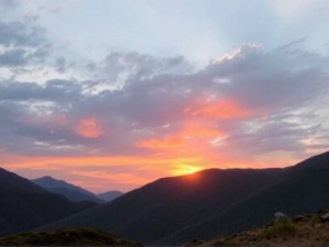 GPT4O如何取消订阅？2025年最新操作指南