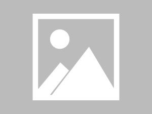 ChatGPT3.5官网中文版如何免费使用？2024最新教程与避坑指南